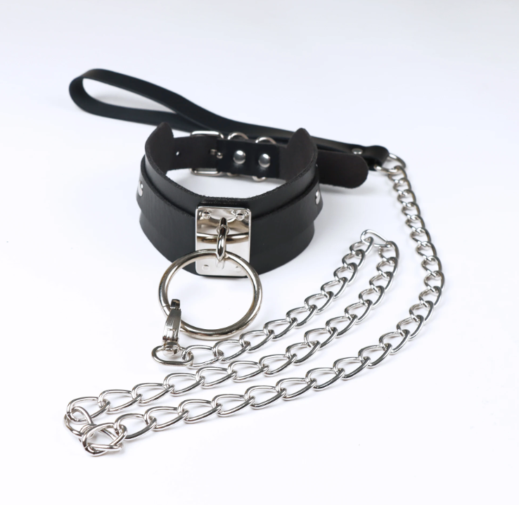 Follow Me Collar and Leash